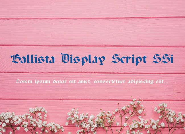 Ballista Display Script SSi example